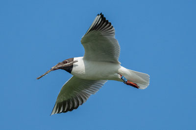Copyright © Copyright Dave Watson